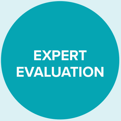 expert evaluation